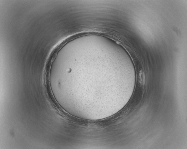 X0000115040388200911161532