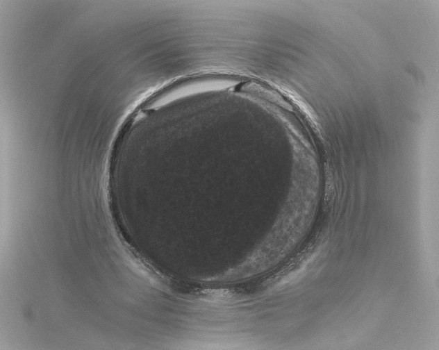 X0000115040391200911161531