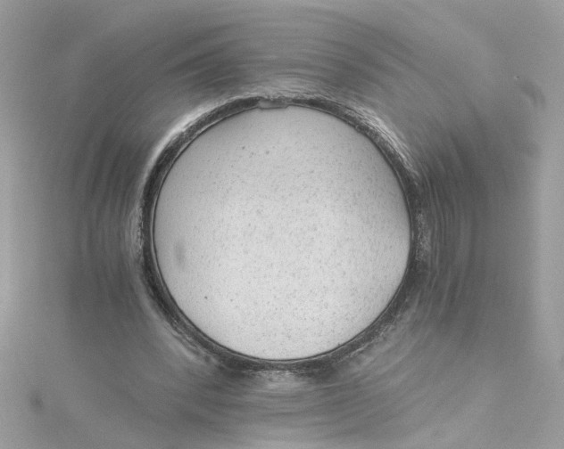 X0000115040392200911161531