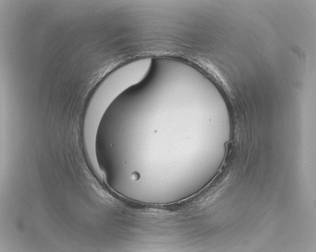 X0000115040393200911161531