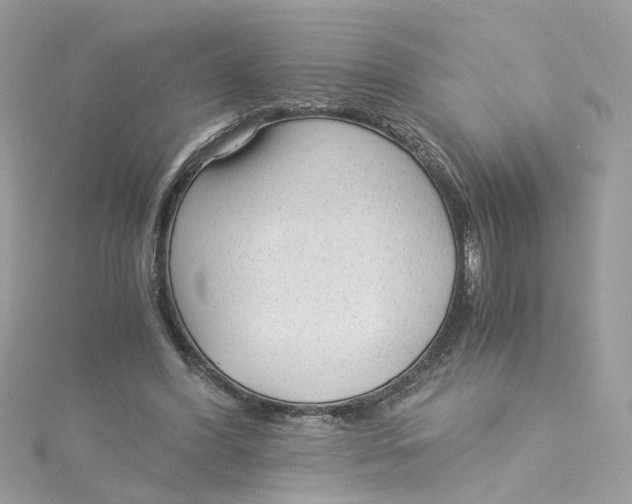 X0000115040396200911161531