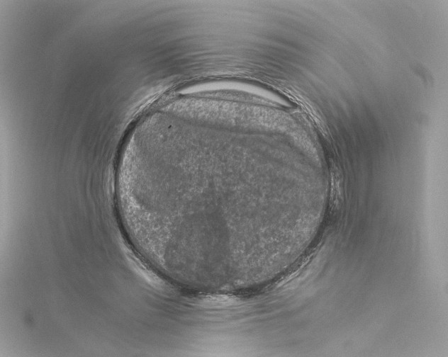 X0000115040397200911161531