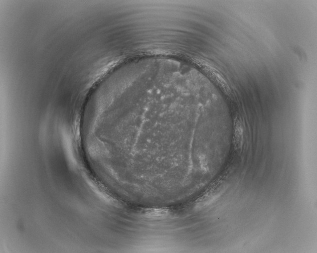 X0000115040398200911161531