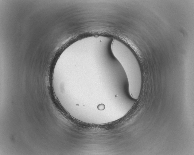 X0000115040399200911161531