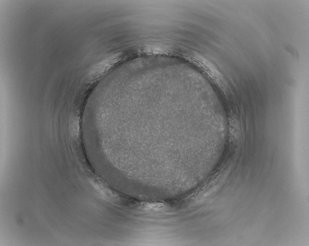 X0000115040401200911161531