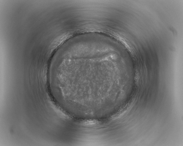 X0000115040402200911161531