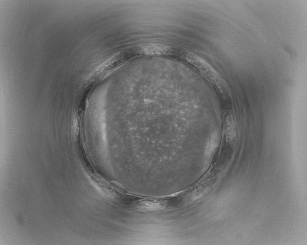 X0000115040405200911161531