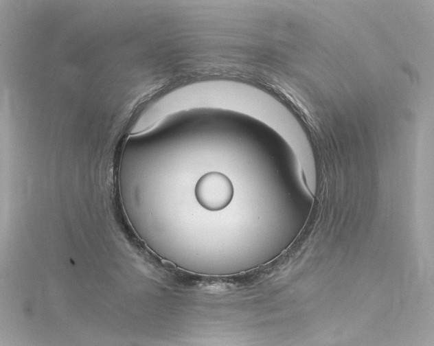 X0000115040407200911161531