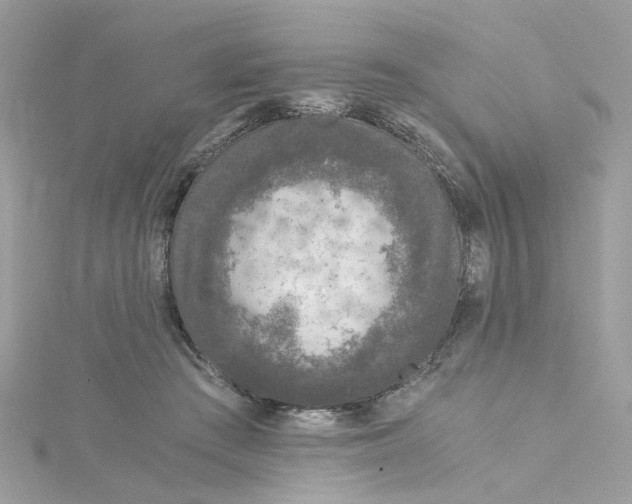 X0000115040409200911161531