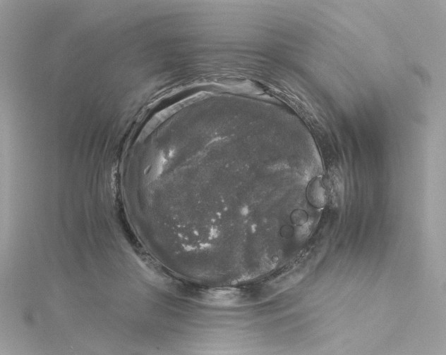 X0000115040410200911161531