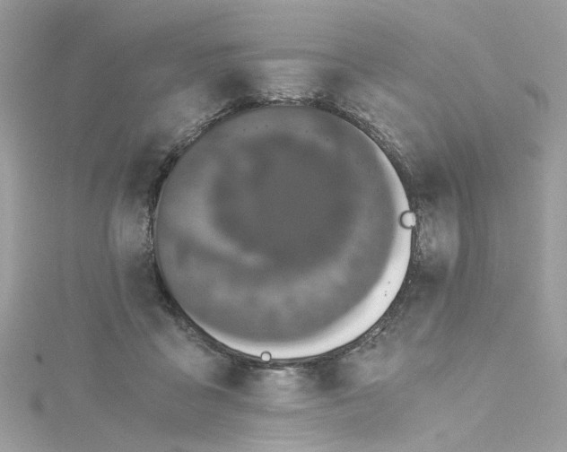 X0000115040411200911161531