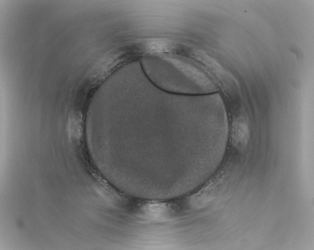 X0000115040413200911161531