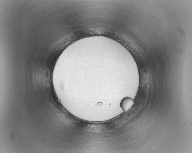 X0000115040414200911161531