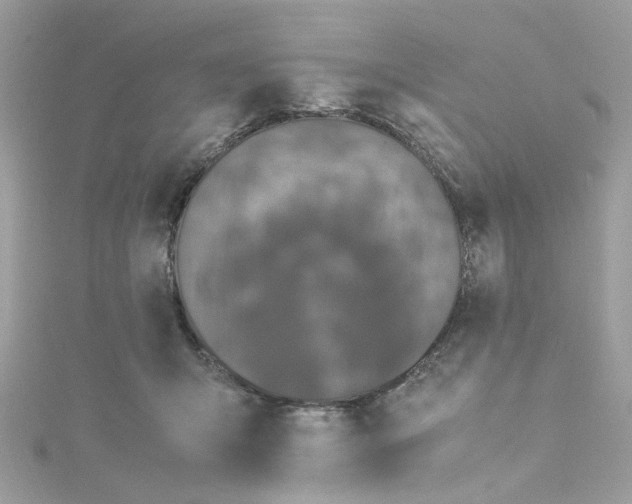 X0000115040415200911161531