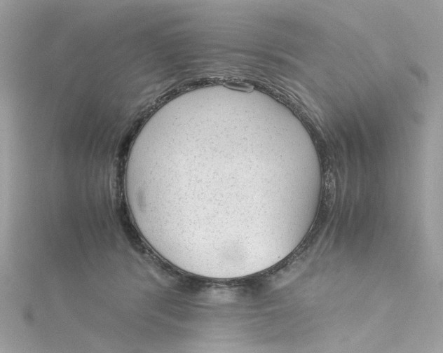 X0000115040416200911161531