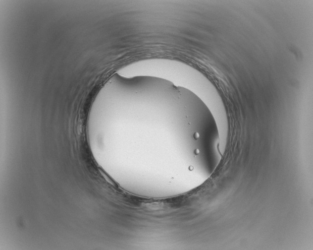 X0000115040417200911161531