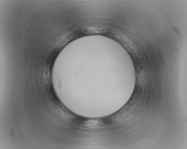 X0000115040418200911161531