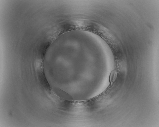 X0000115040419200911161531