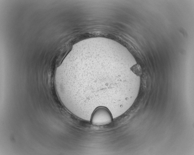 X0000115040420200911161531