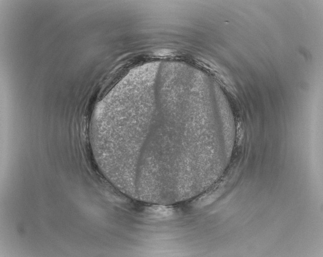 X0000115040421200911161531