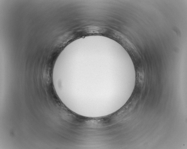 X0000115040422200911161531