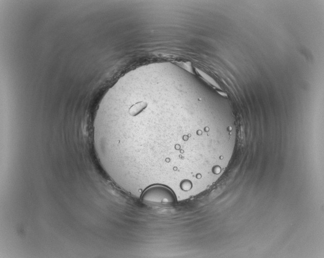 X0000115040424200911161531