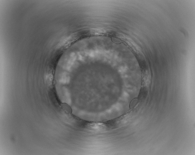 X0000115040427200911161531