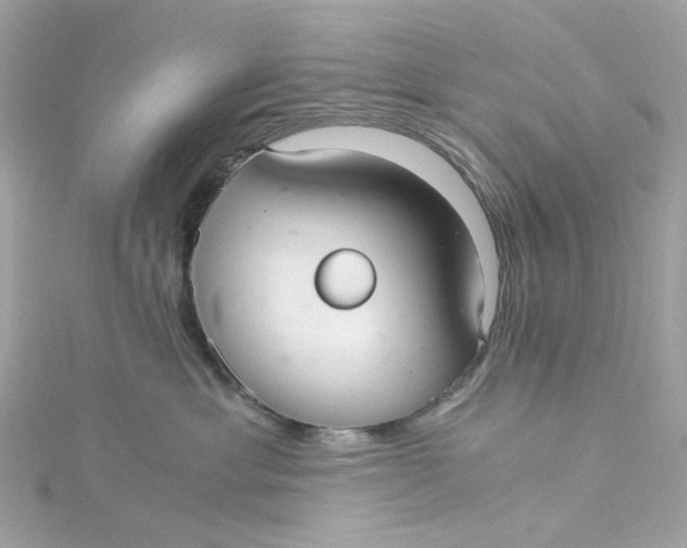 X0000115040429200911161531