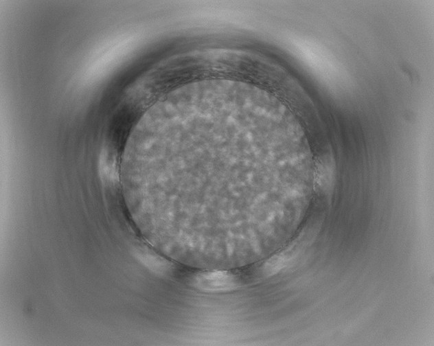 X0000115040431200911161531