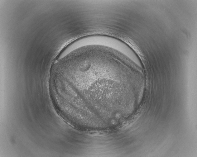 X0000115040434200911161530