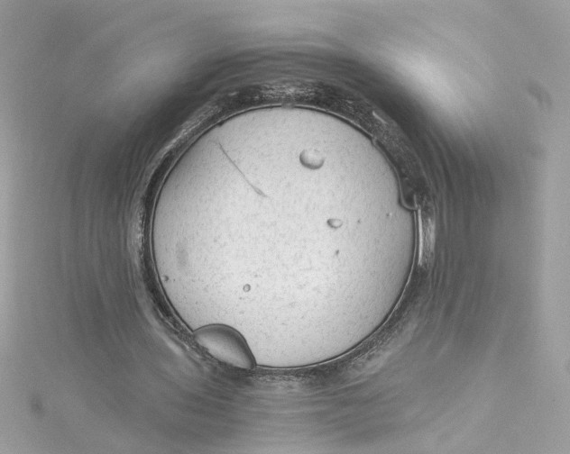 X0000115040435200911161530