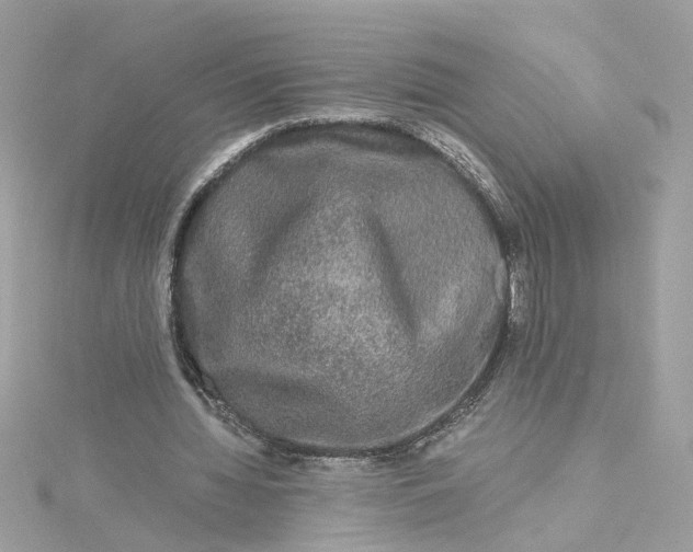 X0000115040436200911161530