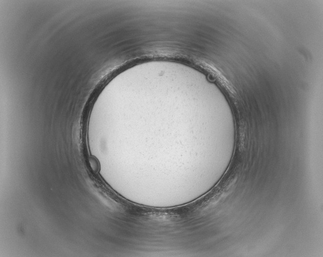 X0000115040439200911161530