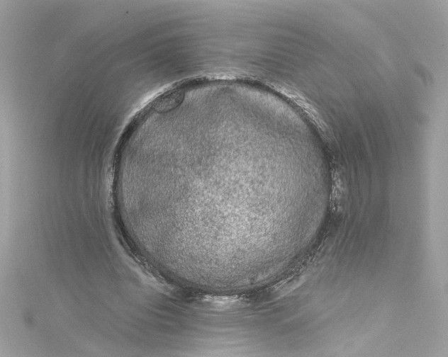 X0000115040440200911161530