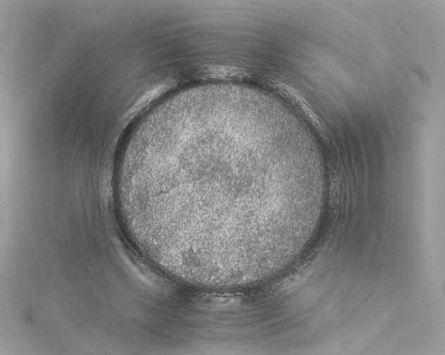 X0000115040443200911161530