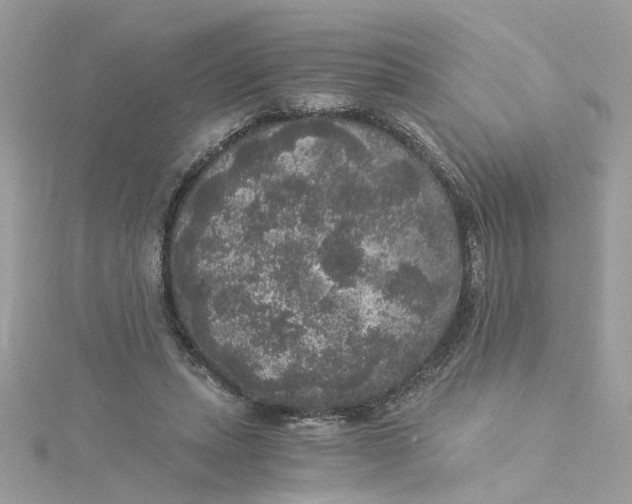 X0000115040447200911161531