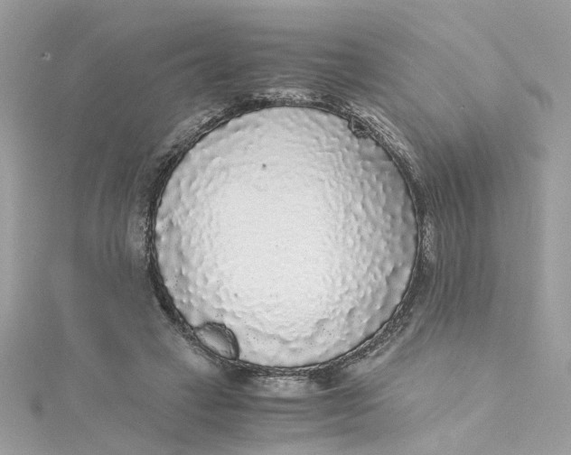 X0000115040449200911161531