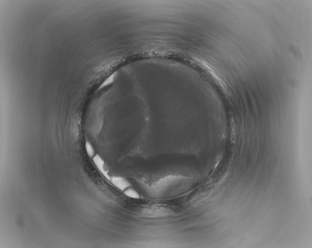 X0000115040451200911161531