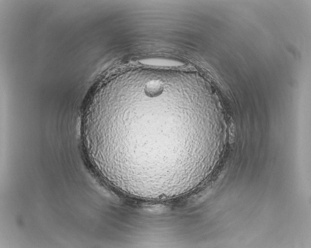 X0000115040454200911161531