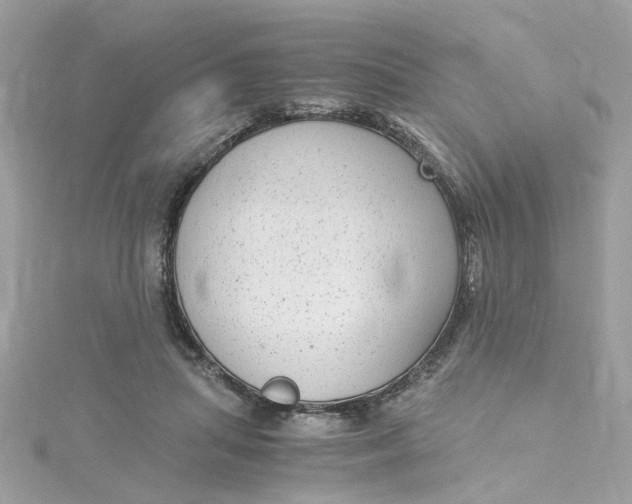 X0000115040455200911161531