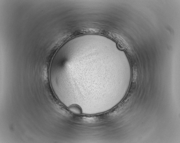 X0000115040457200911161531