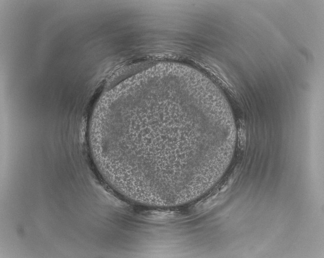 X0000115040458200911161531