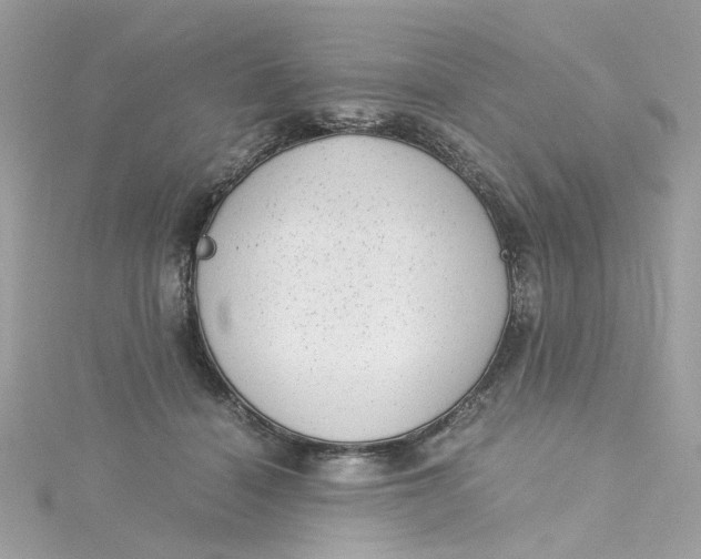 X0000115040460200911161531