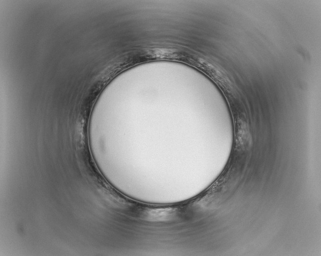 X0000115040461200911161531