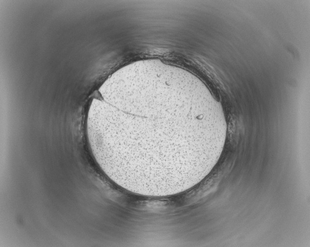 X0000115040462200911161531