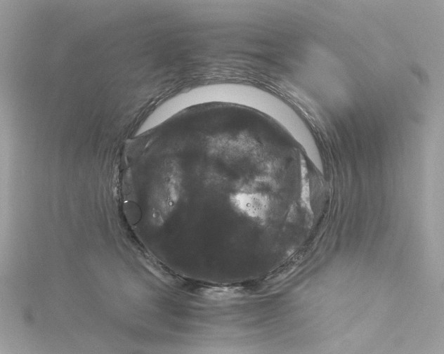 X0000115040465200911161531