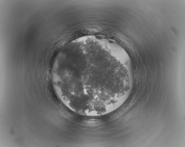 X0000115040467200911161531