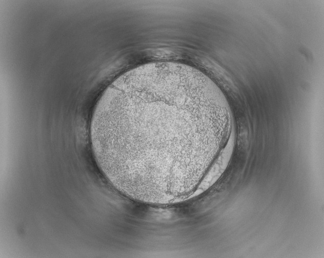 X0000115040469200911161531