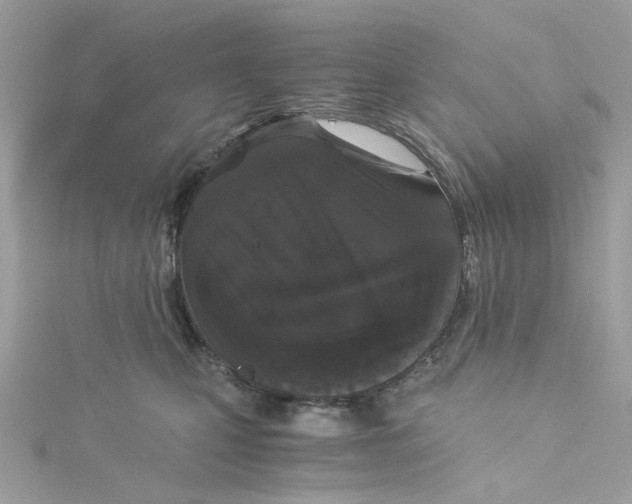 X0000115040471200911161531