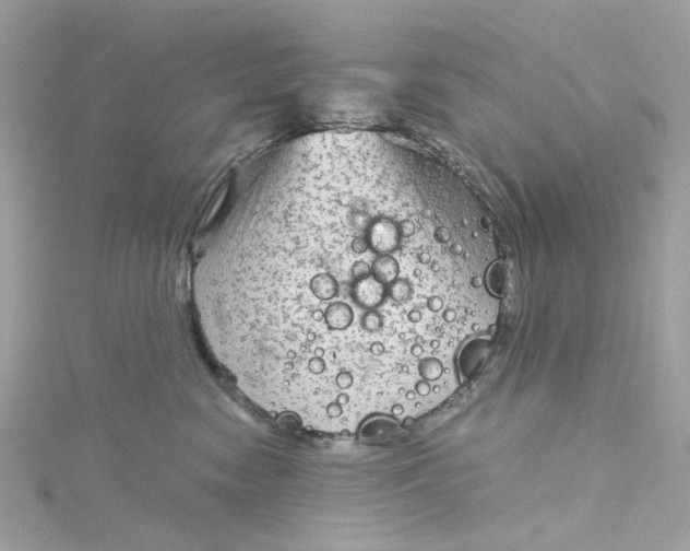 X0000115040474200911161531